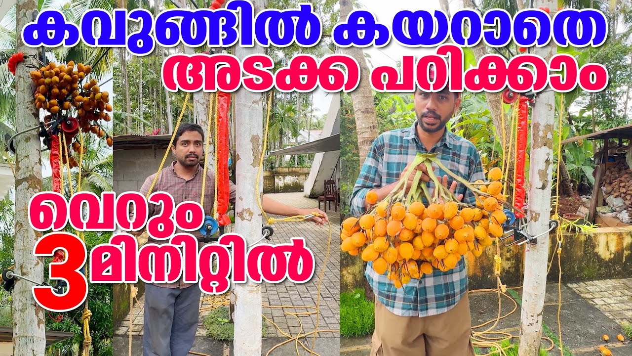 കവുങ്ങിൽ കയറാതെ ആർക്കും അടക്ക പറിക്കാം മരുന്നടിക്കാം 3 മിനിറ്റ് കൊണ്ട് | Arecanut Harvesting Machine
