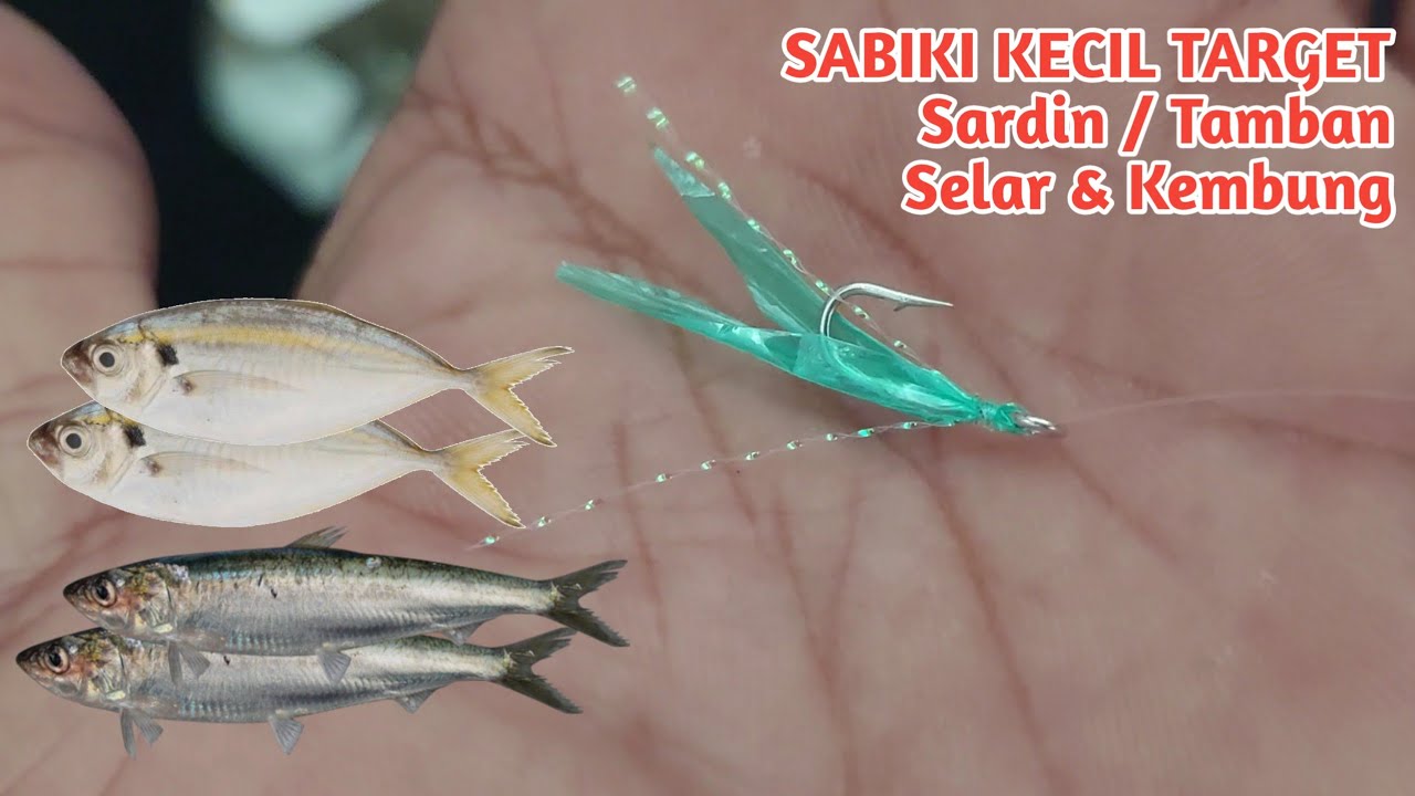 CARA MEMBUAT SABIKI KECIL TARGET IKAN SELAR SARDIN DAN KEMBUNG