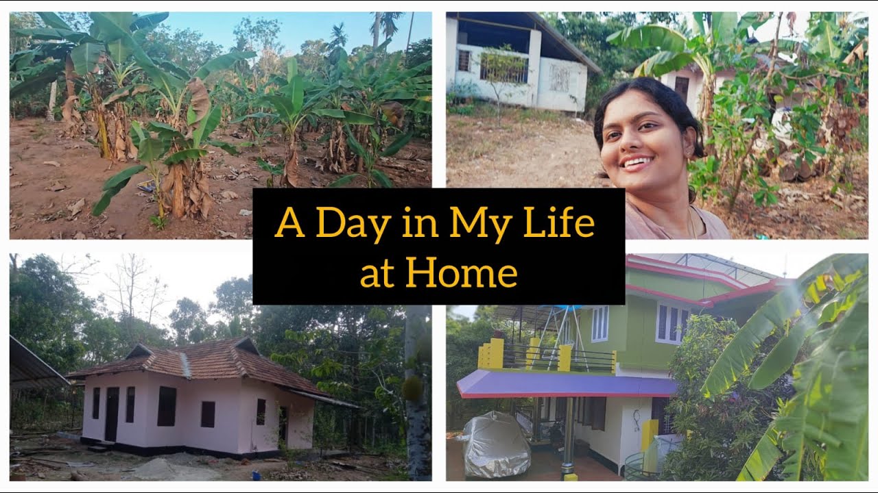 A Day in My Life at Home | Visiting My Father’s Fruit & Vegetable Garden