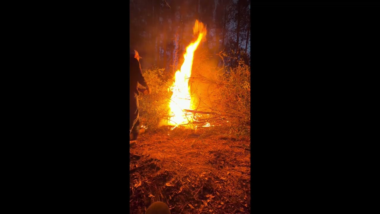 Falling trees, folks & fires safely.  😁