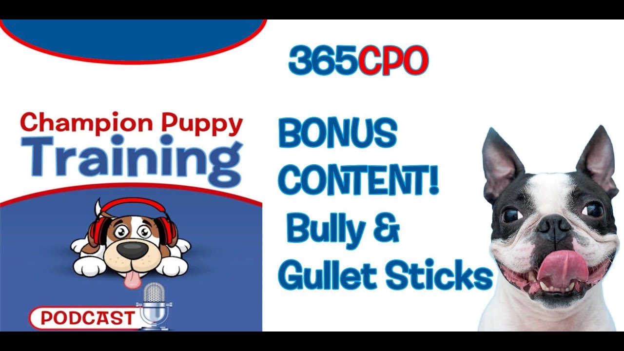 Bully sticks come from what part of the cow?