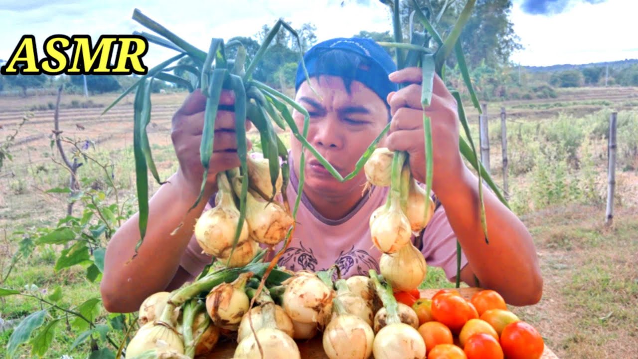 ASMR eating Onion, tomato with shrimp paste (mouth watering) KA jogz