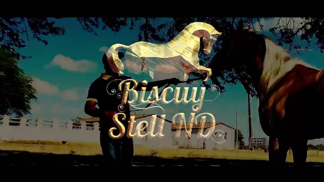 LOTE 100 BISCUY STELL ND LEIL&Atilde;O HARAS BOMPASTO 2016
