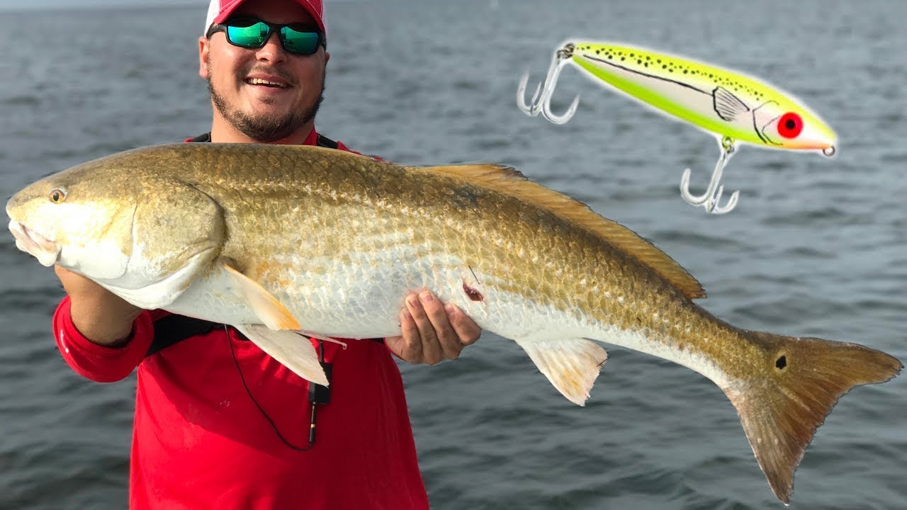 HUGE BULL REDFISH on a TOPWATER (new personal best)