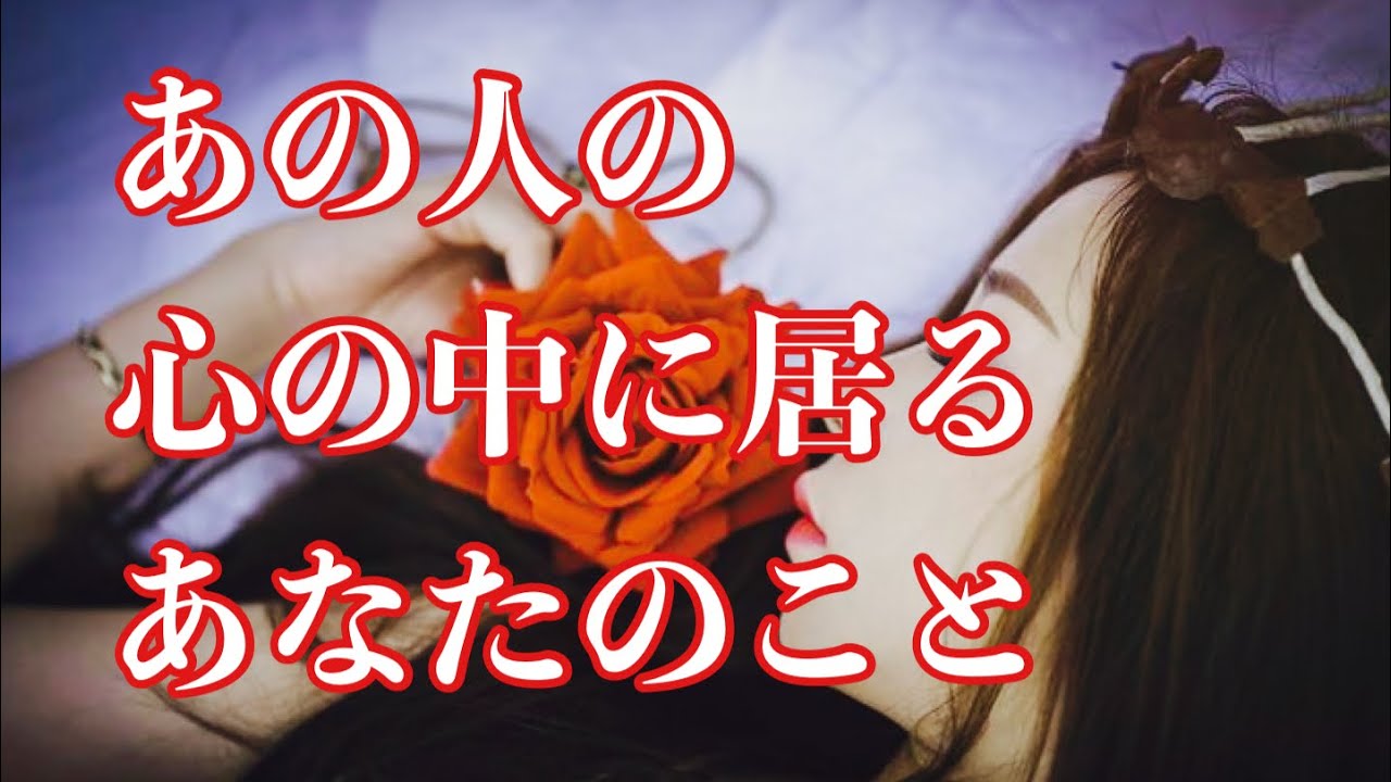 ❤️あの人の心の中に居るあなたのこと🦋恋愛タロットリーディング【霊感】