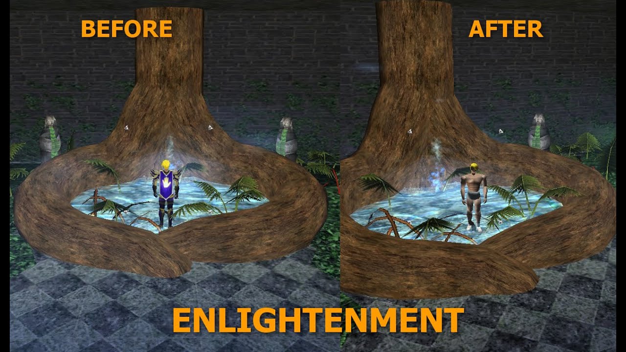 Enlightenment and Rebirth | Asheron's Call Gameplay
