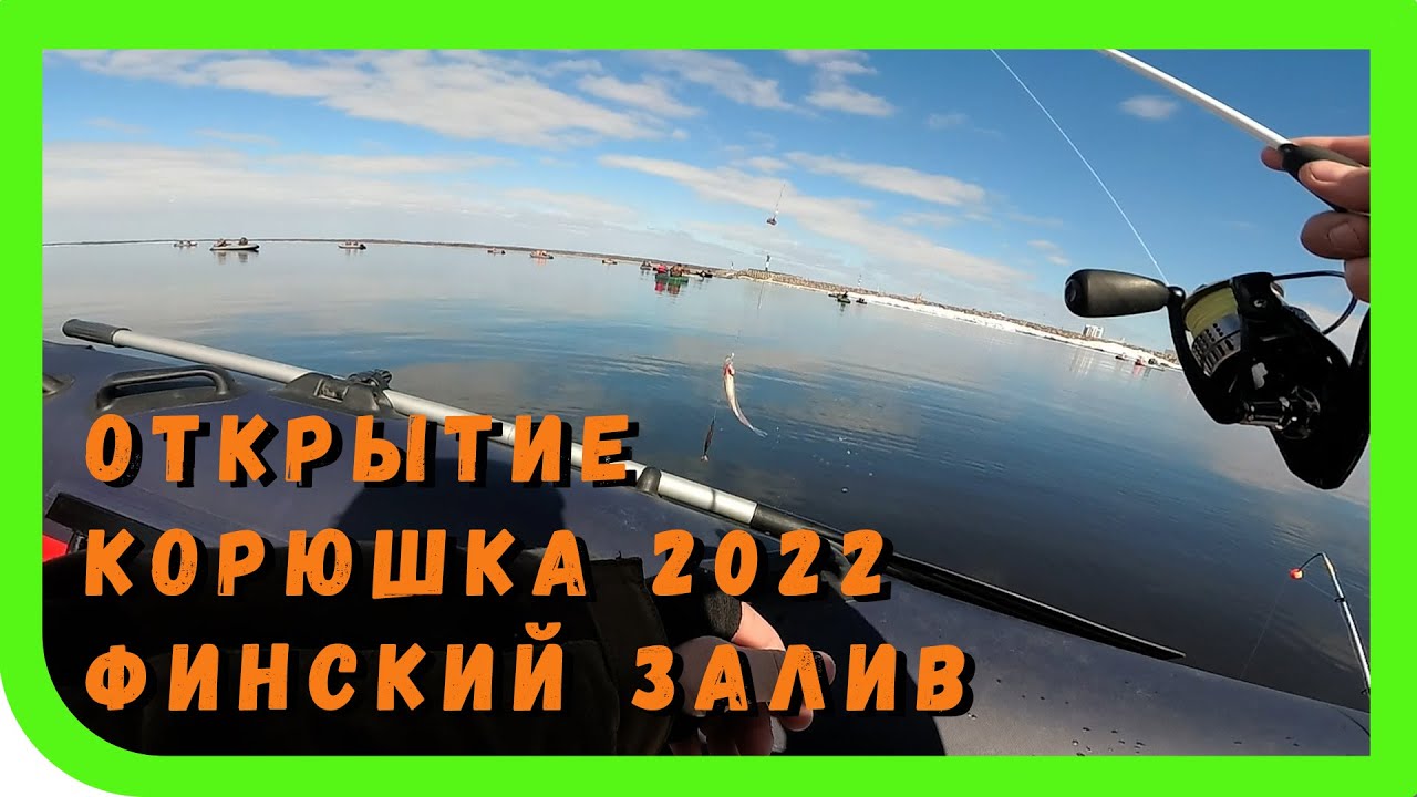 Корюшка 2022, Финский залив. Открытие сезона жидкой воды