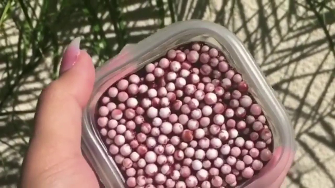 Pofuduk Slime Videoları