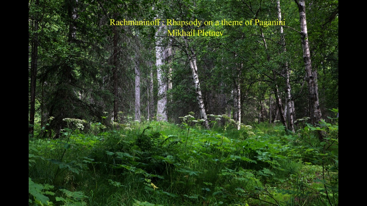 Rachmaninoff : Rhapsody on a theme of Paganini