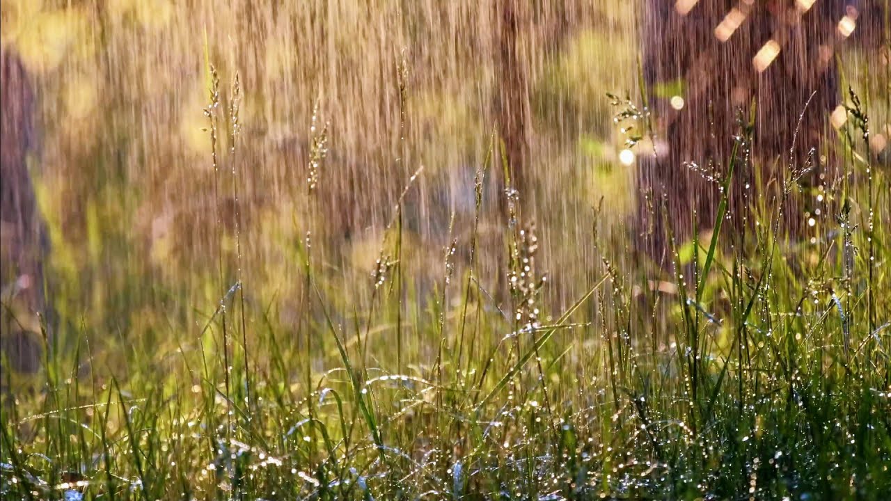 Rain and Thunder Sounds with Sunlight and Healing Crystal Bowls for Peaceful Relaxation