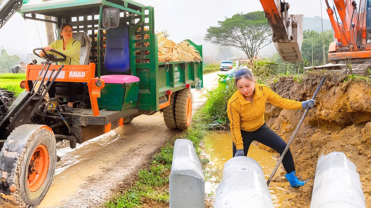 Use a truck to transport plywood from the lumber mill and sewer pipes - Farm Life | Đào Daily Farm