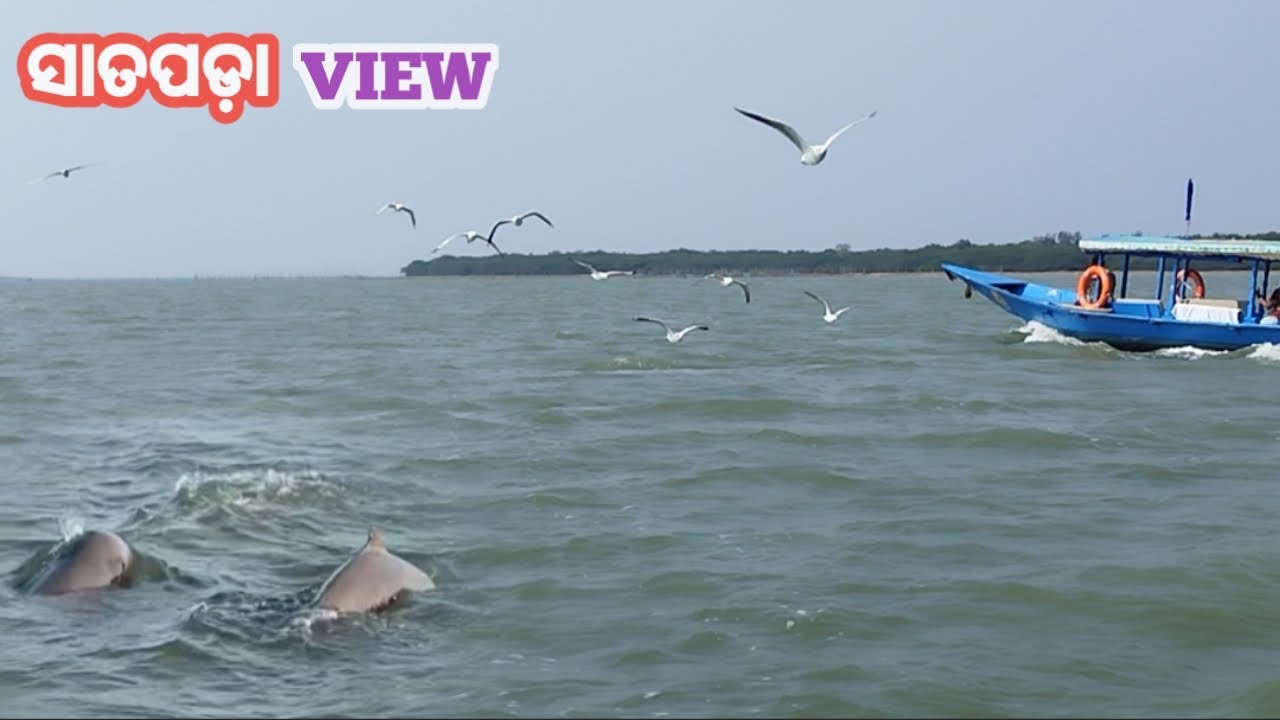Satapada view point | Beauty of satapada | satapada dolphin sanctuary | Chilika Lake