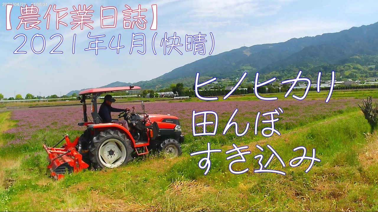 【米作り】特別栽培ヒノヒカリ（緑肥） レンゲ　田んぼ　すき込み　クボタ　KL265