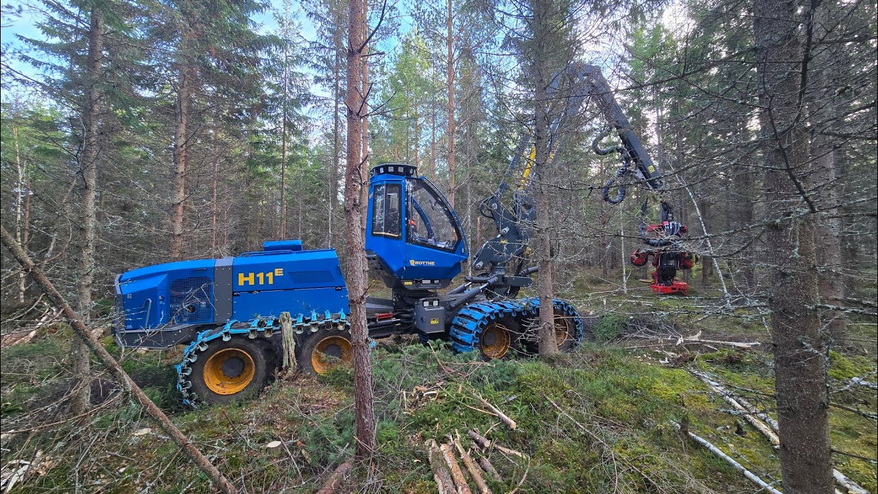 Rottne forestmachine demo