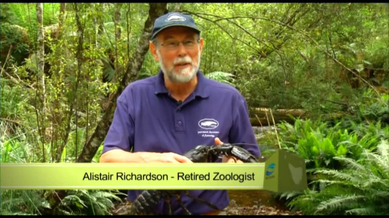 Going Bush - Season 4 Episode 4- The giants of our tiny streams - Part 1