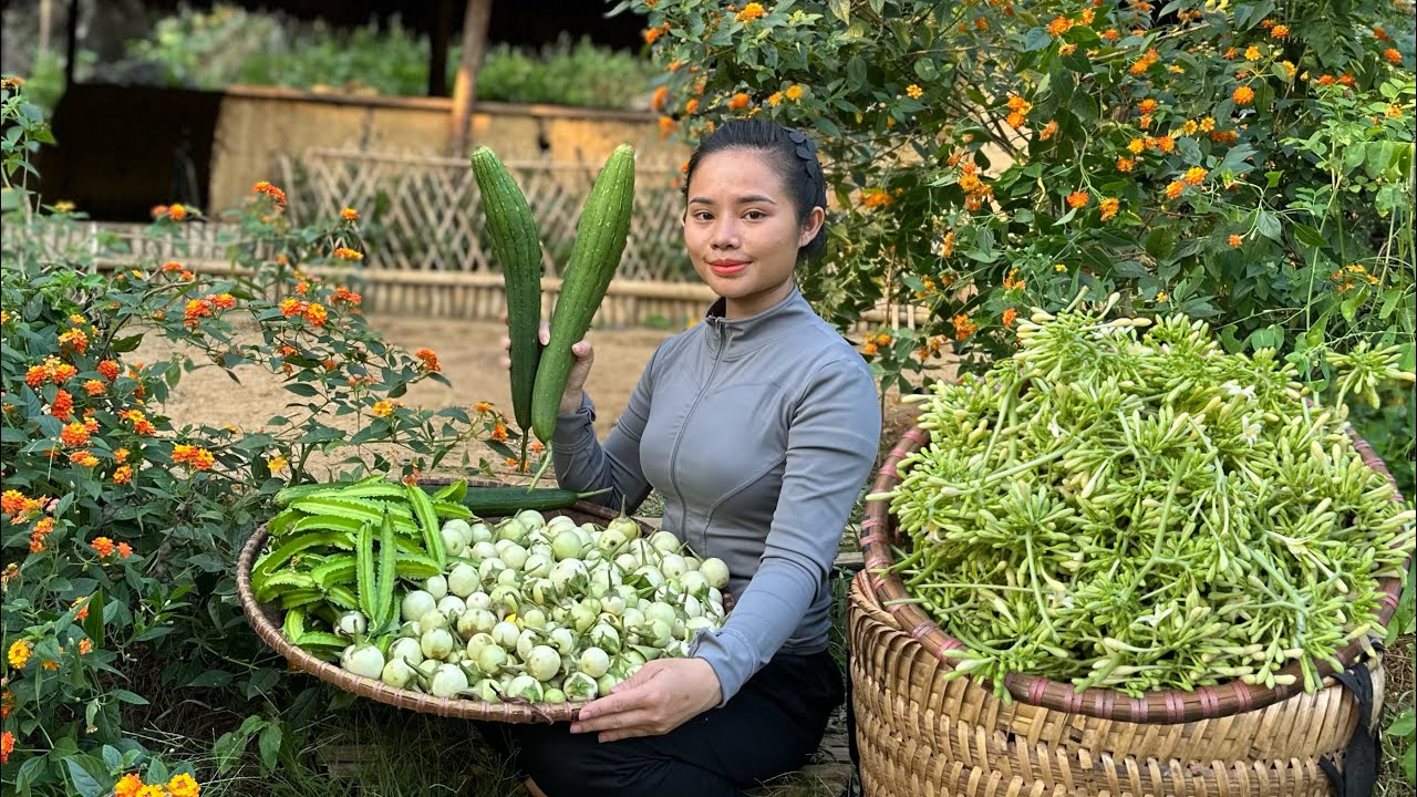Harvest star beans, white eggplants, luffa and papaya flowers to sell at the market