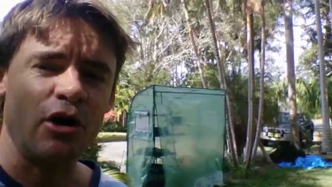 My 2 Simple Proven Methods to Keep Snails and Slugs out of Your Greenhouse