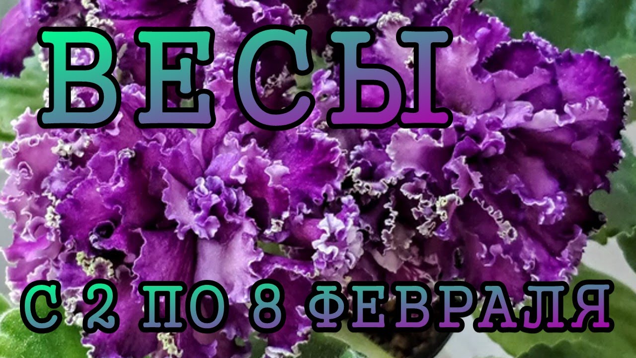 ВЕСЫ таро прогноз на неделю с 2 по 8 ФЕВРАЛЯ 2026 года