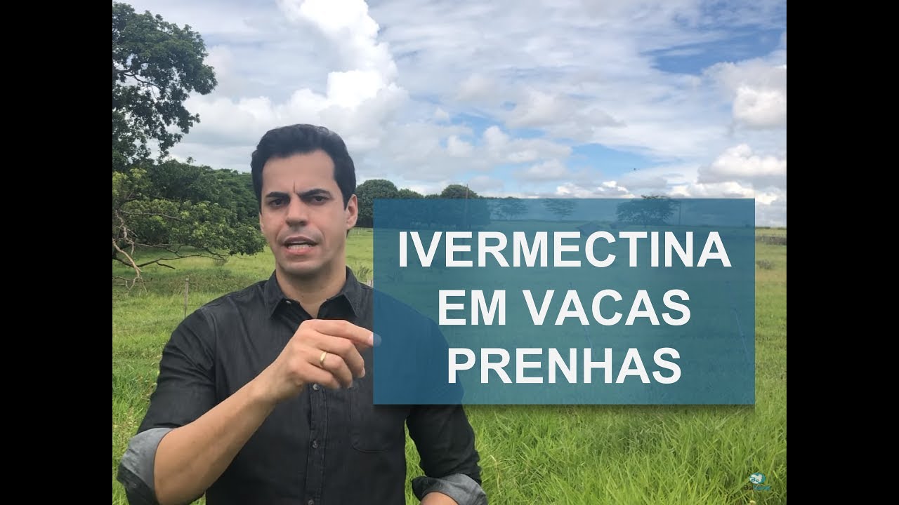 POSSO APLICAR IVERMECTINA EM VACAS PRENHAS?