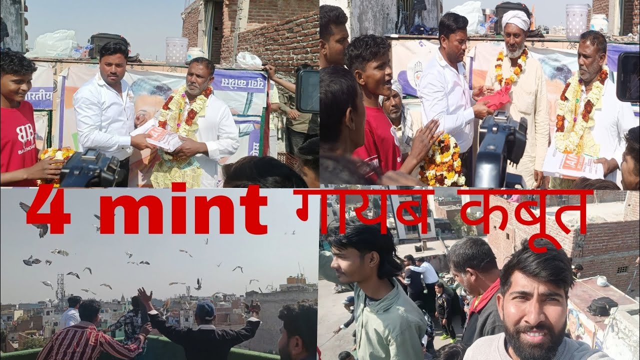 Rohit Bhai पक्की खजुरी #pigeon #aakhri ka shok