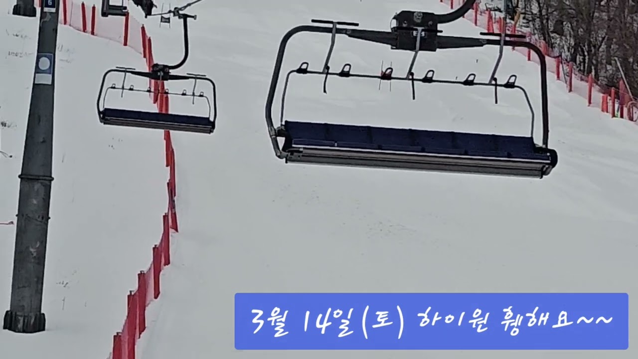 26년 3월 14일(토) 하이원 휑해요~~