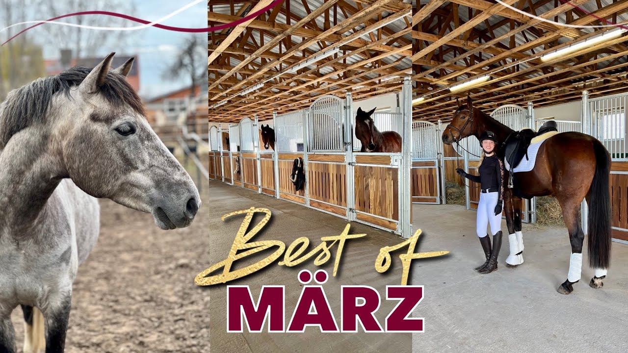 Von Luxusboxen und bunten Ponys 😍 | Best of März
