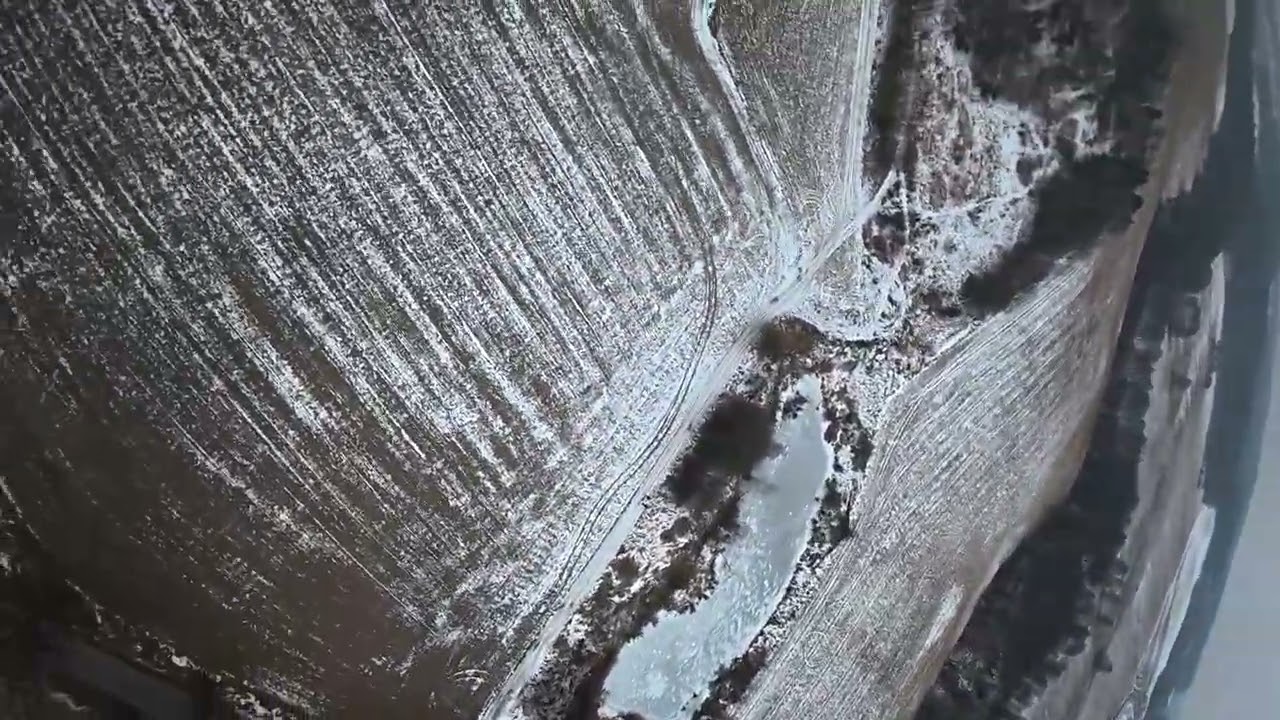7” field rip