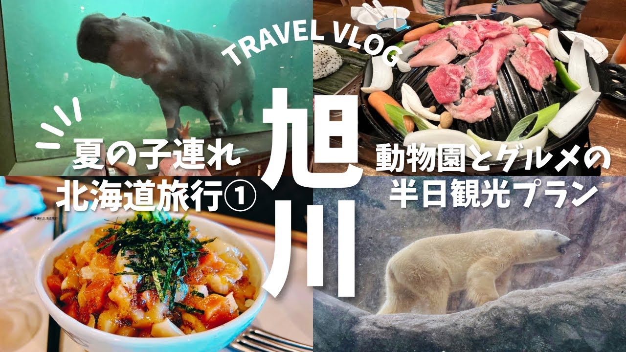 【旭川観光🐻‍❄️】子連れで行く夏の北海道旅行vlog 旭川編 | 旭山動物園からジンギスカンまで！到着日午後からの半日観光