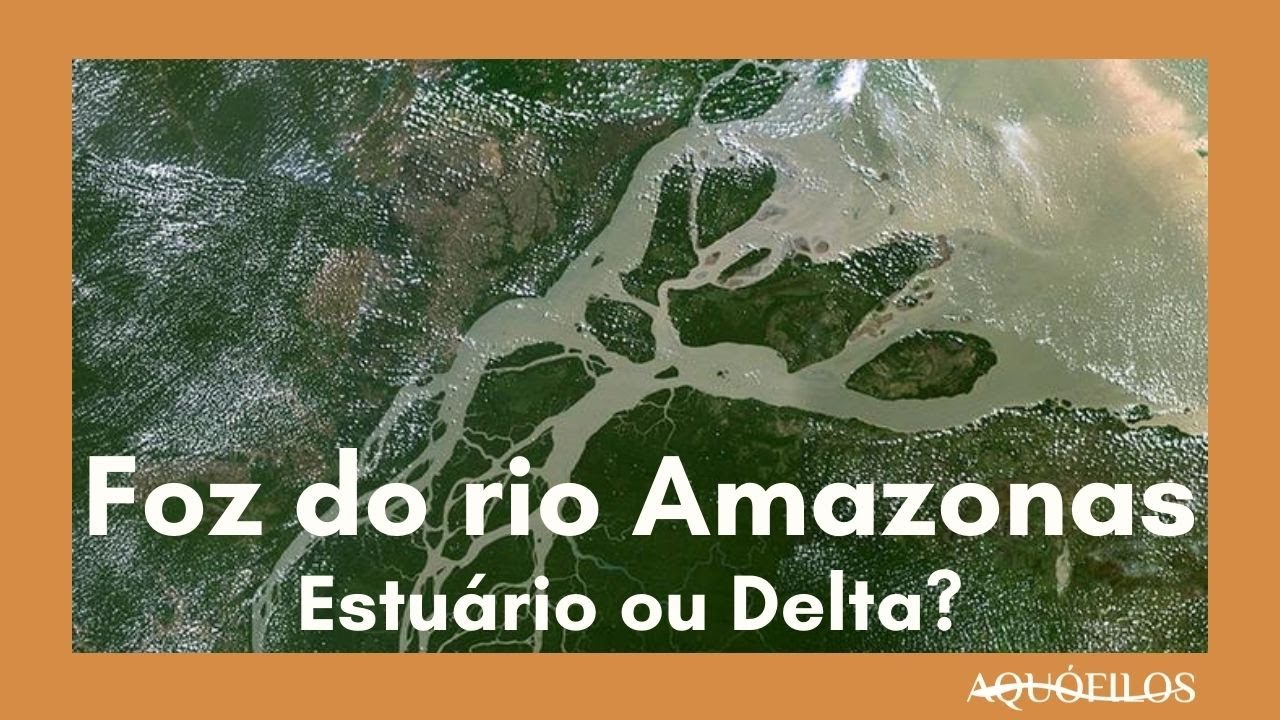 FOZ DO RIO AMAZONAS. Estuário ou Delta
