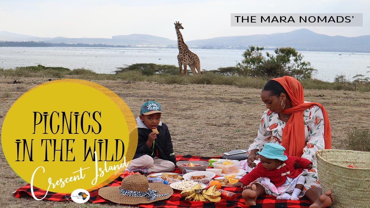 CRESCENT ISLAND: BOAT RIDES & PICNICS IN THE WILD