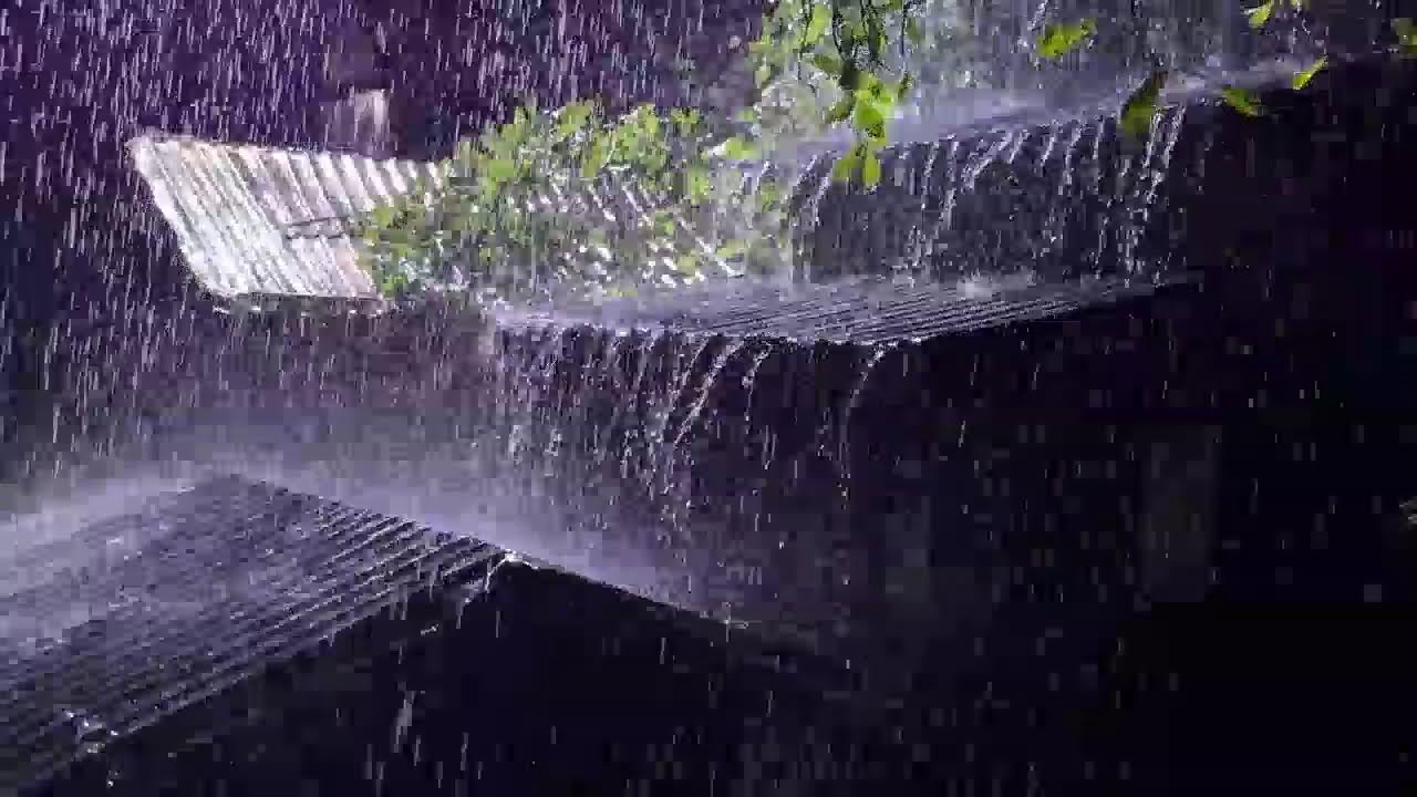 Fall Asleep Instantly 🌧️ Heavy Rain on Tin Roof with Deep Thunder