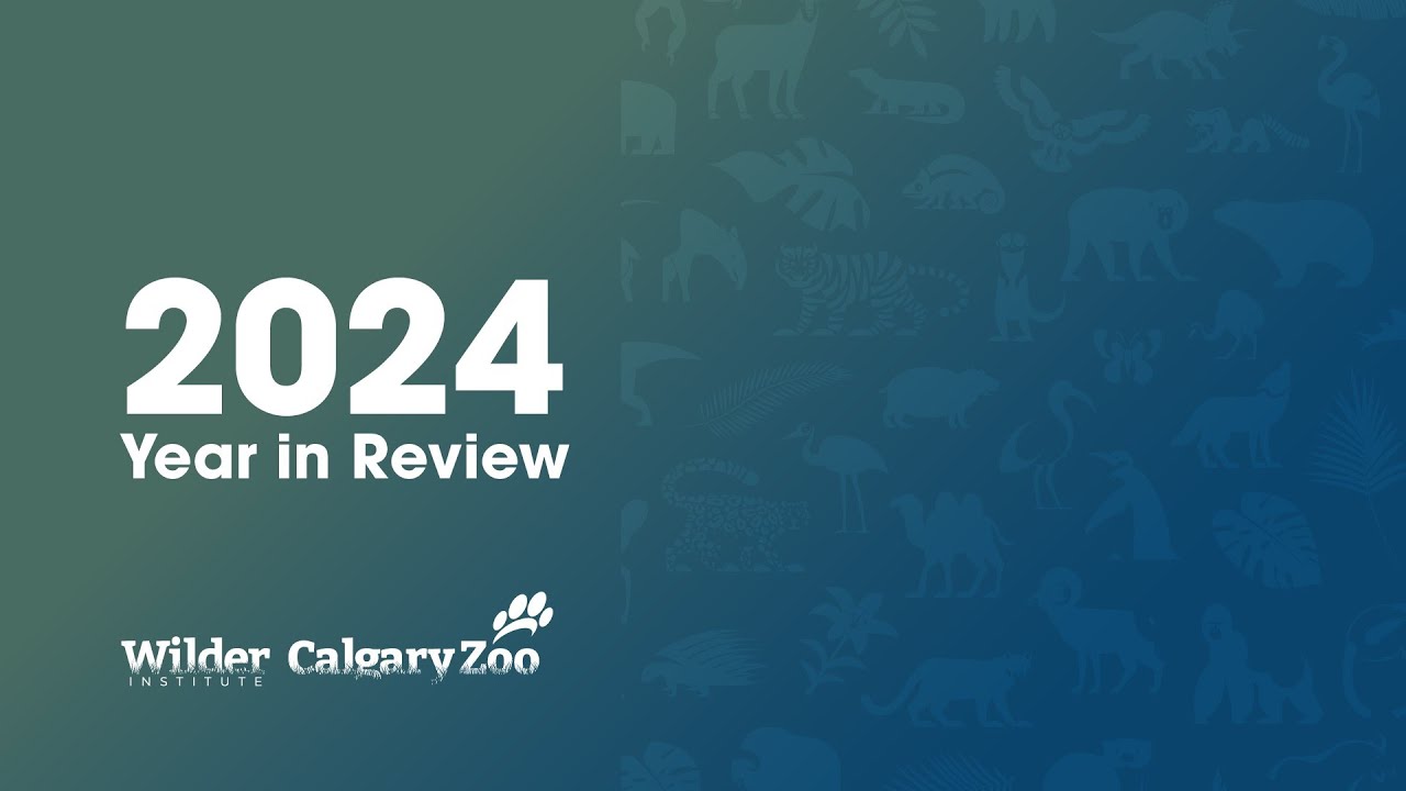 2024 Year in Review