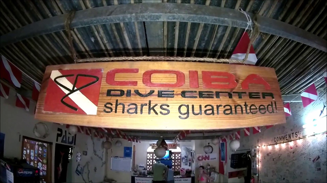 Diving at Coiba Island Panama with Coiba Dive center