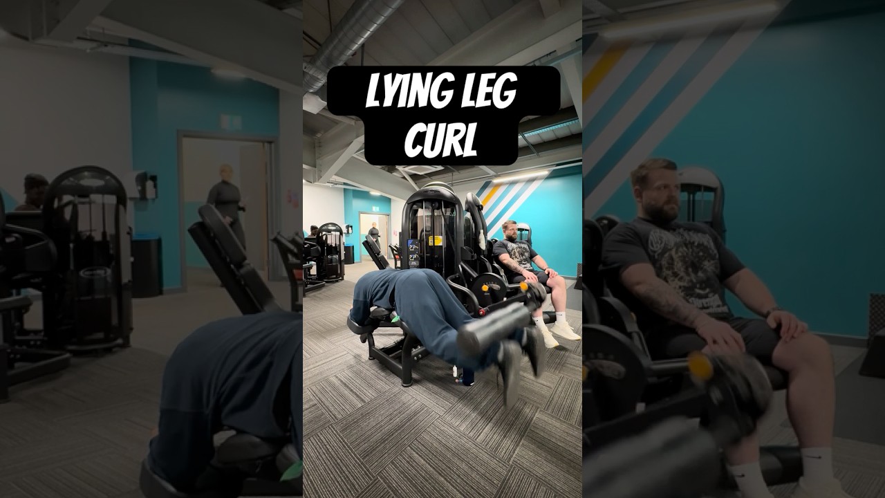 Lying leg curl