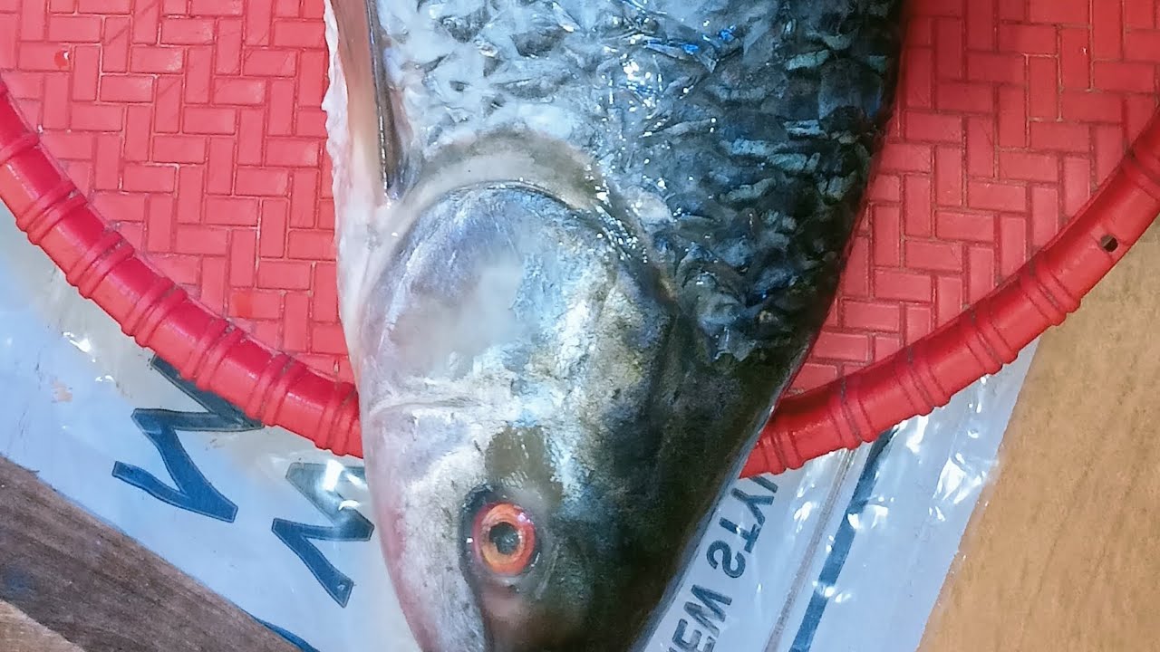 আজকের রান্না মজার  বড়ি দিয়ে রুই মাছের তরকারি #cookingchannel #food #mycooking #viralreels #recipe 