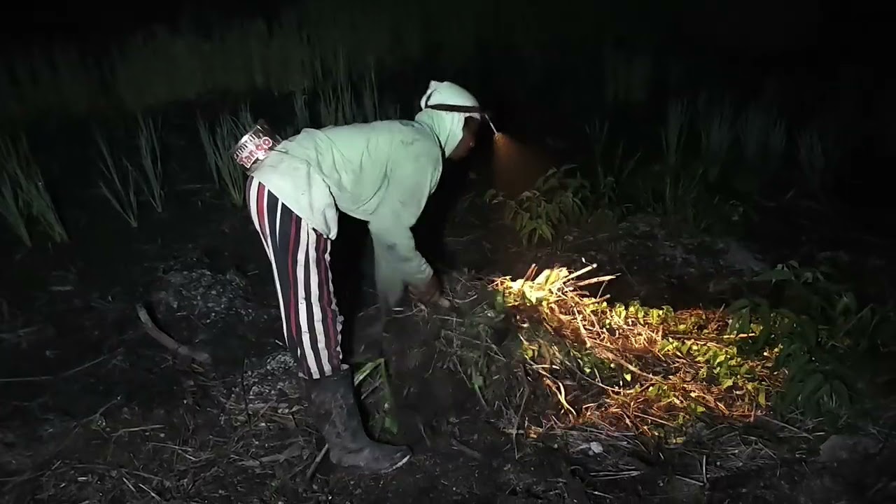 MALAM- MALAM PAK WANI NGIDAM BAKAR SINGKONG 