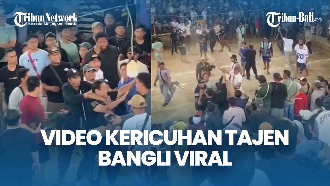 Keributan Pecah di Arena Tajen Bangli, Video Viral Picu Sorotan Soal Keamanan