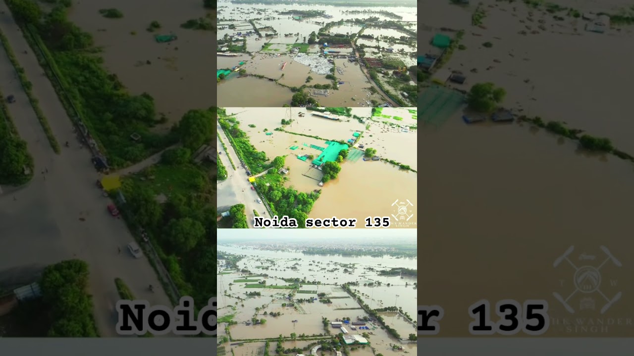Noida sector 135 affected by Yamuna flood #ytshorts #flood #news #thewandersingh