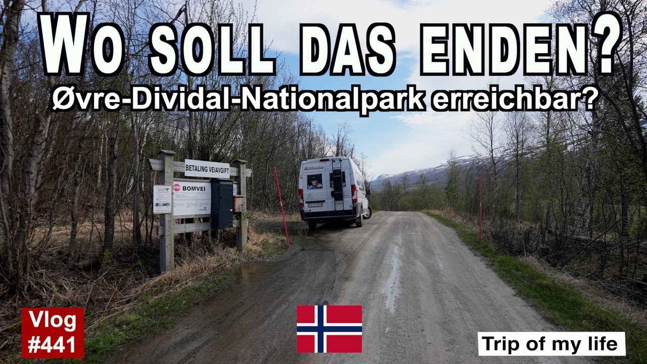 #441 Roadtrip Norwegen | 20 km Schotter? Øvre-Dividal-Nationalpark Bären | Bier am Vatertag | Wow!