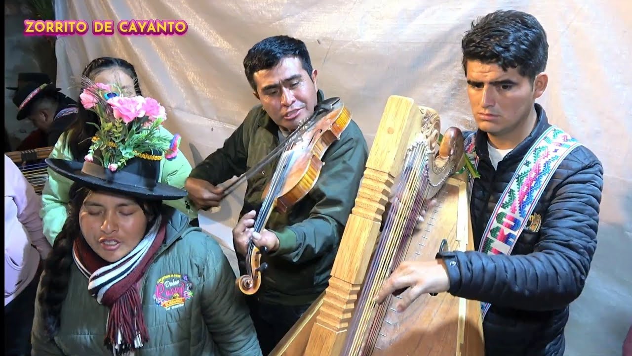 🎻 ZORRITO DE CAYANTO / Jarana con arpa y violín 