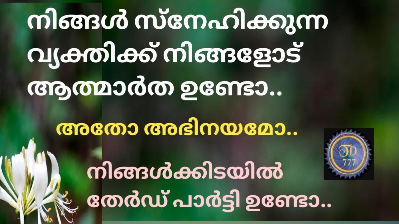 നിങ്ങൾ സ്നേഹിക്കുന്ന വ്യക്തിക്ക് നിങ്ങളോടുള്ള ഫീലിംഗ്സ്@ tarotdexterity777.