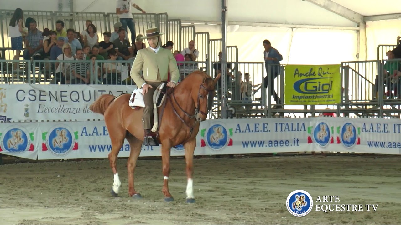 AAEE Italia &ndash; Campionato Italiano Doma Vaquera 2018 &ndash; 3&deg; Tappa &ndash; Roberto Settimi