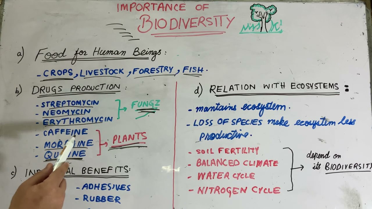 Importance of Biodiversity | chapter 3 | class 9 biology | kpk board | all pakistan boards 