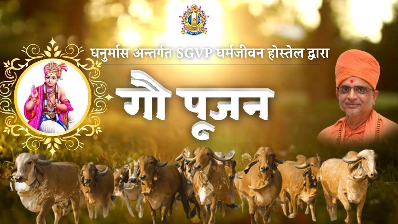 गौ पूजनम् || SGVP Gurukul  Dharmajivan Hostel Gau Poojan  गौ पूजा  SGVP Gurukul   Ahmedabad
