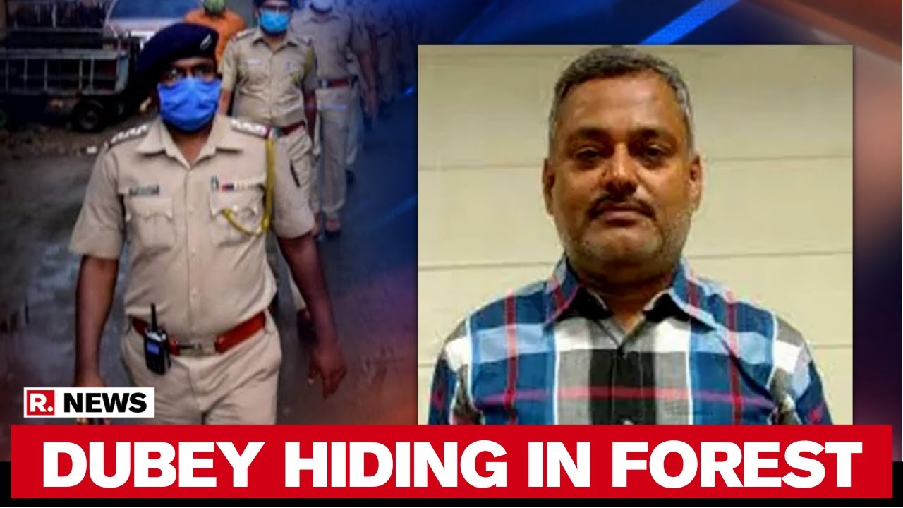 Kanpur Encounter: Vikas Dubey Hiding In Forest Areas Of UP-MP Border, Say Sources