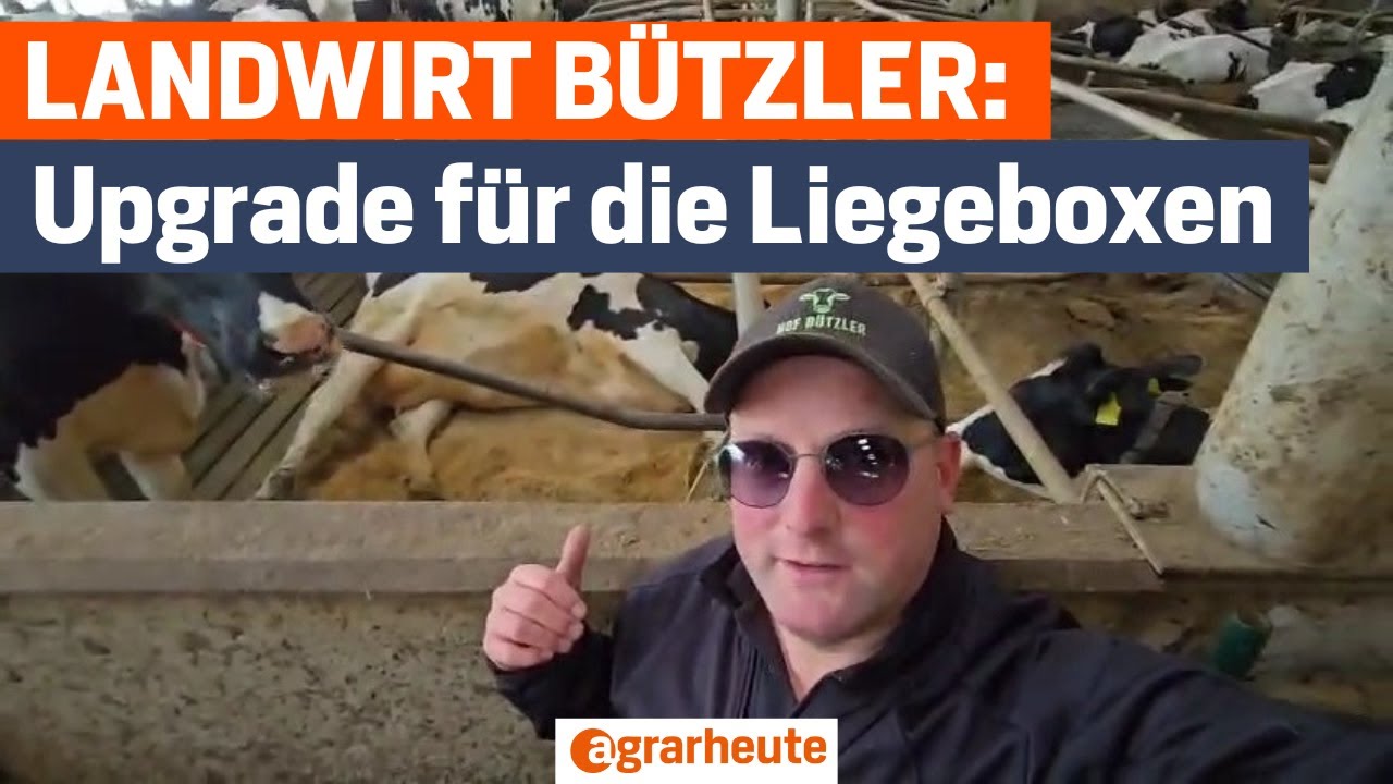 Landwirt B&uuml;tzler: neue Liegeboxen f&uuml;r mehr Effizienz, Nachhaltigkeit und Tierwohl