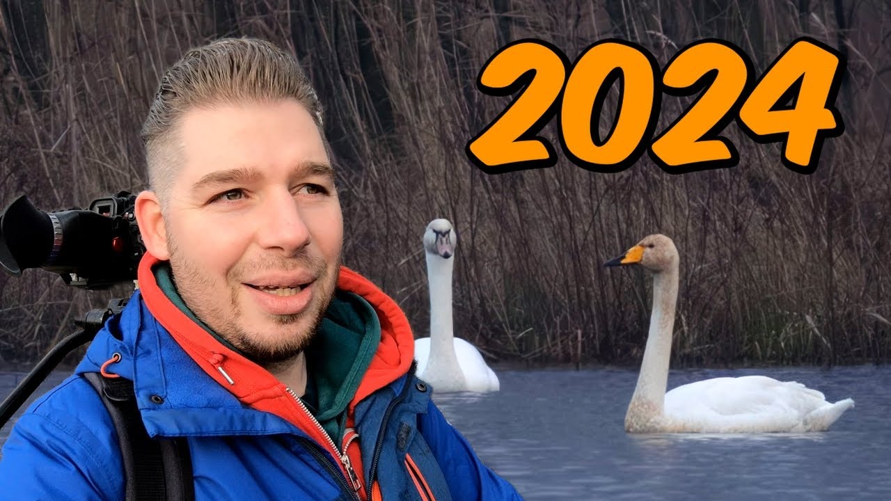 Birding 2024 - Patchwork Challenge