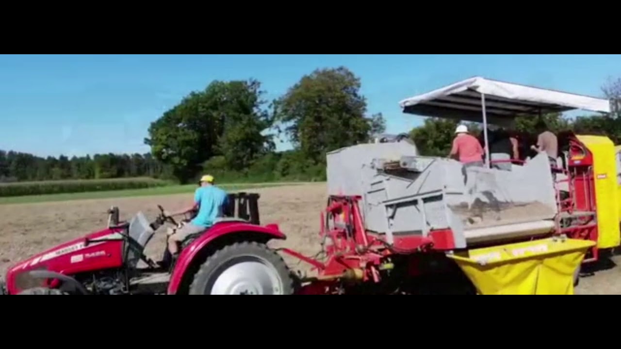 Kartoffelernte 2019 in der Schweiz // Mit Samro-Kartoffelernte