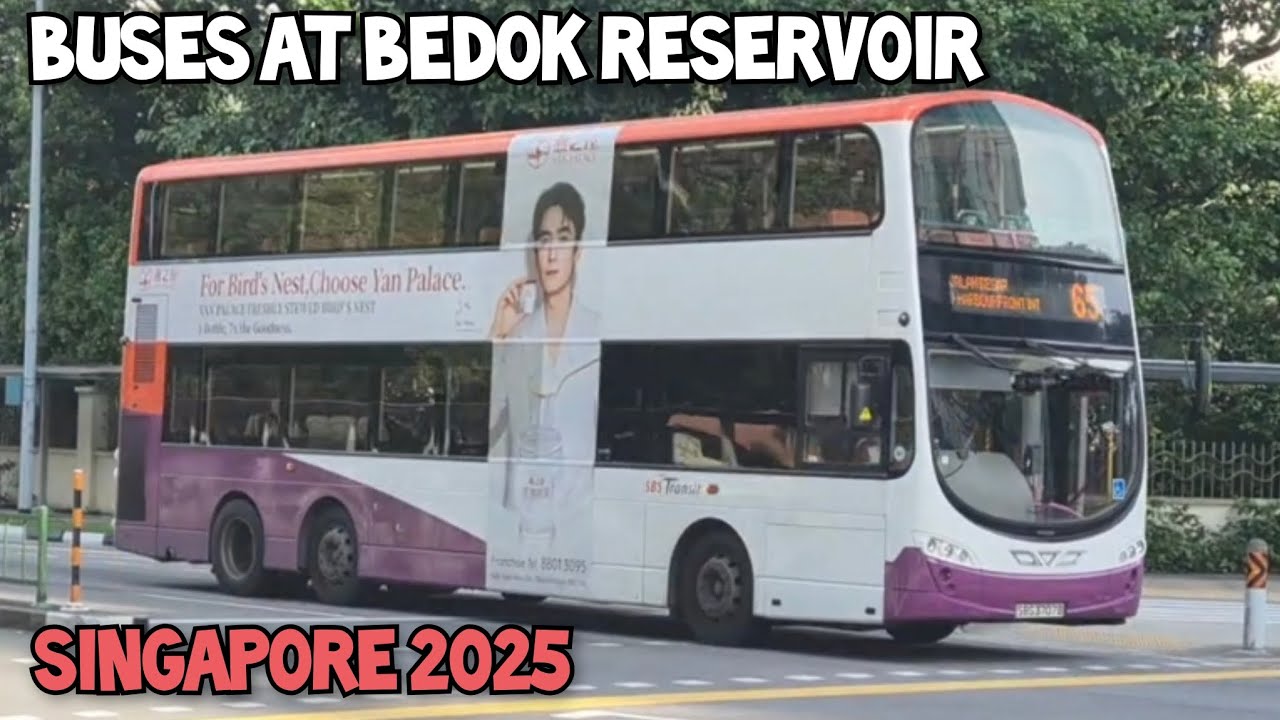 Buses At Bedok Reservoir, Singapore 2025