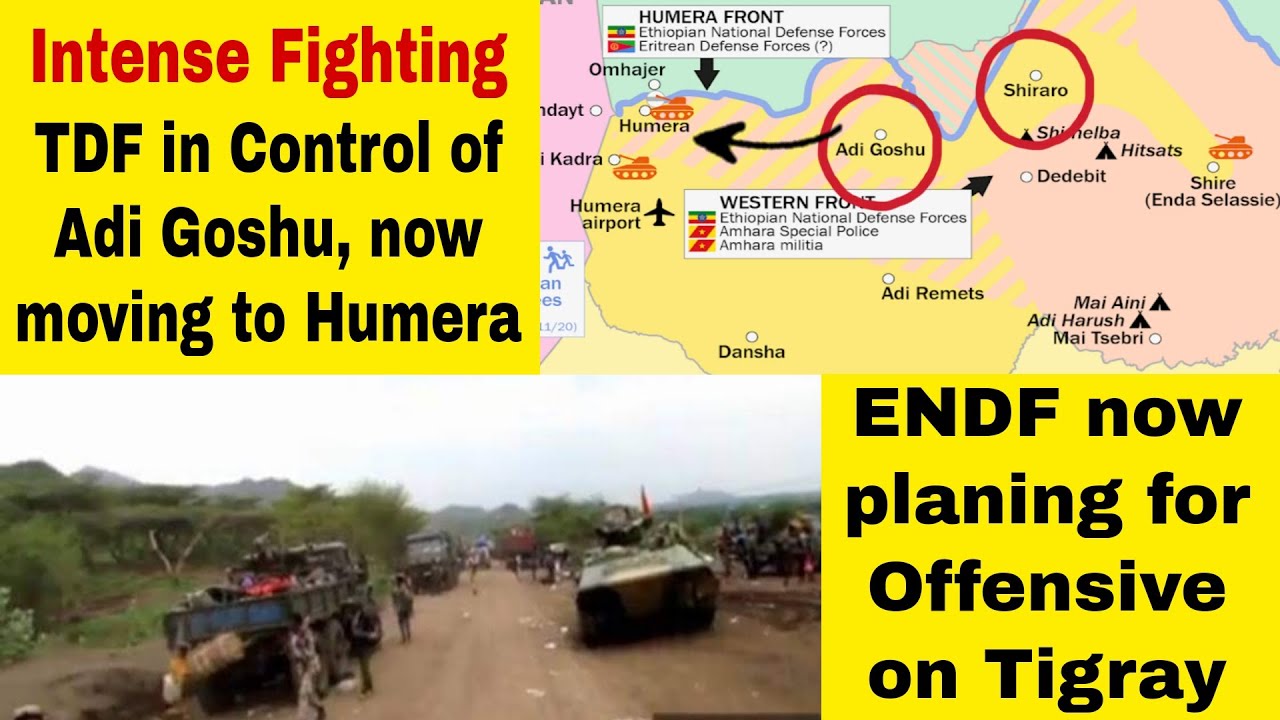 TDF in Control of Adi Goshu Western Tigray | Welkait | ENDF